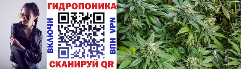 Хочу наркоту Липки Амфетамин  МЕФ  Марихуана  A-PVP 