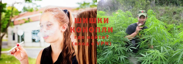 каннабис Алексеевка